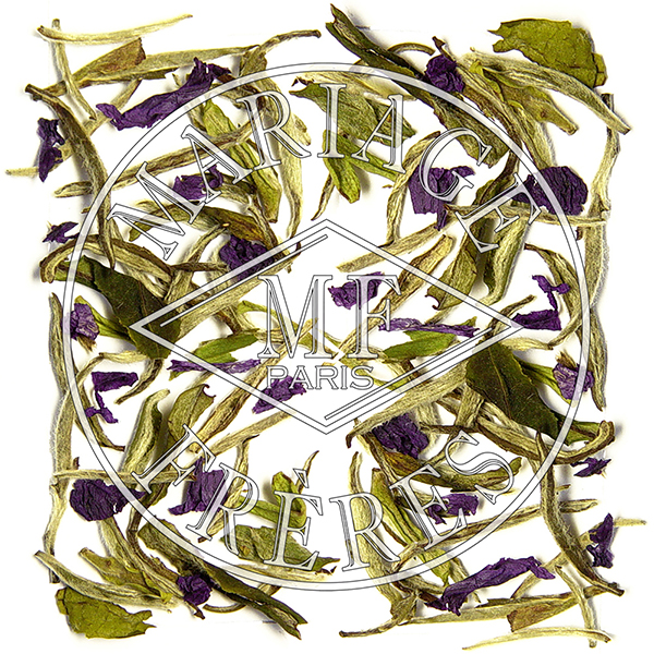 Illustration : thé blanc marco polo