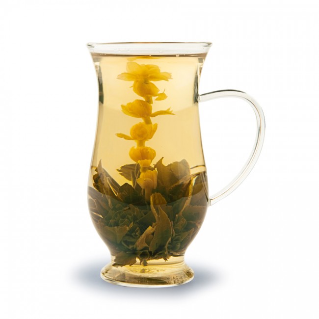 Illustration : jasmine flowering tea